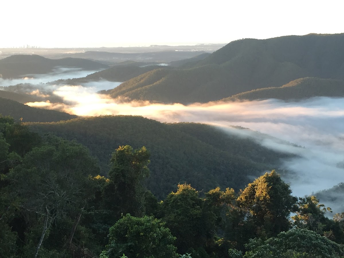 Tamborine Mountain B&B Accommodation