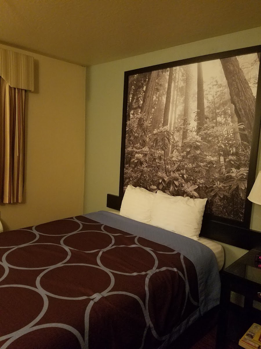 Super 8 by Wyndham Sacramento/Florin Rd