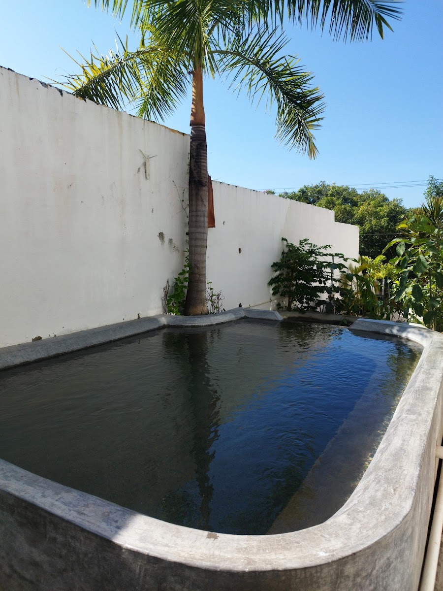 Waikiki hotel y bungalows