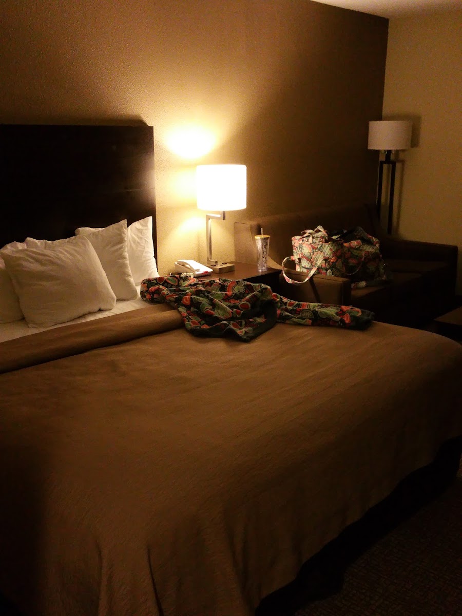 Quality Inn Hayti North