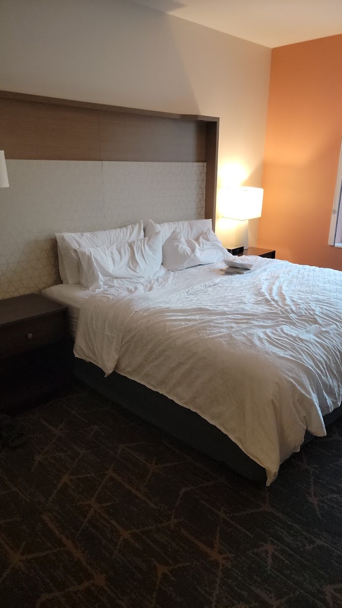 Hotel Spice & Sky Atlanta Perimeter