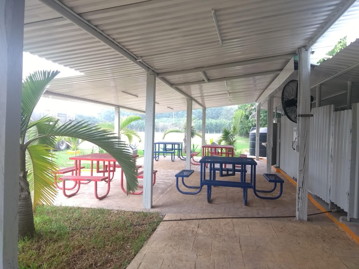 PENSION FOY TREBOL