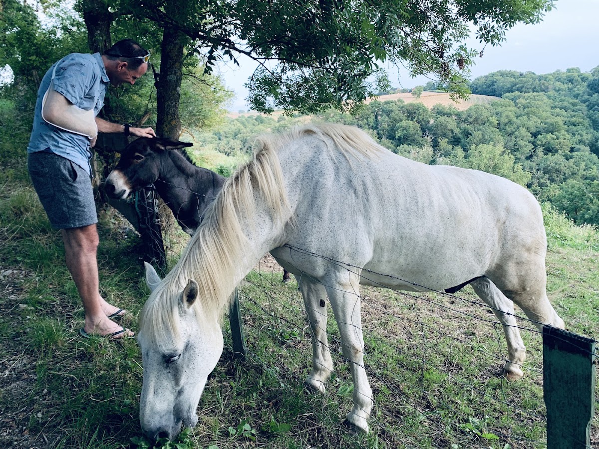 GÎTES ET CAMPING: Vacances à la ferme La Borie Basse