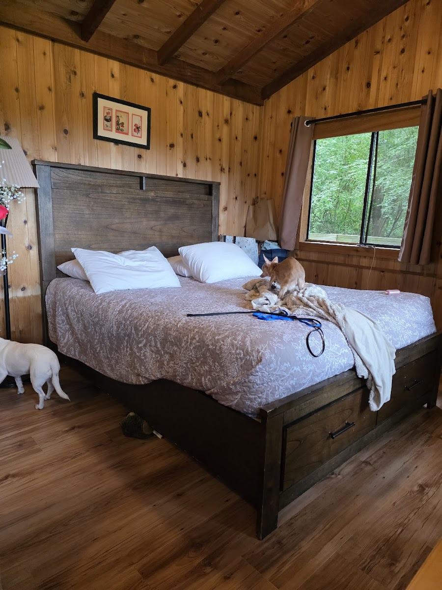 Doe Bay Resort & Retreat
