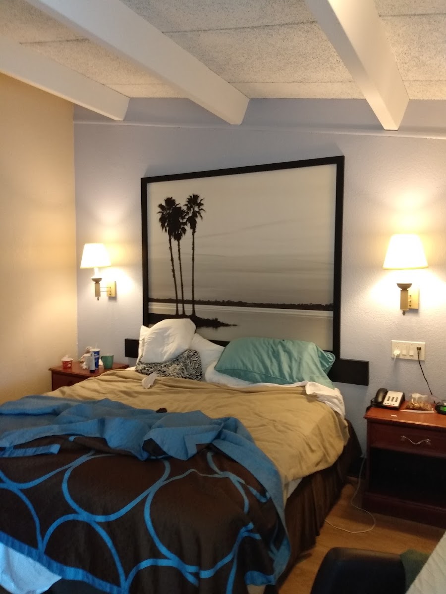 Super 8 by Wyndham St. Augustine