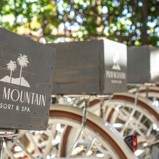 Palm Mountain Resort & Spa