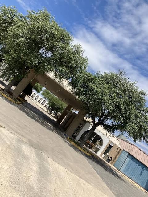 Econo Lodge Sonora