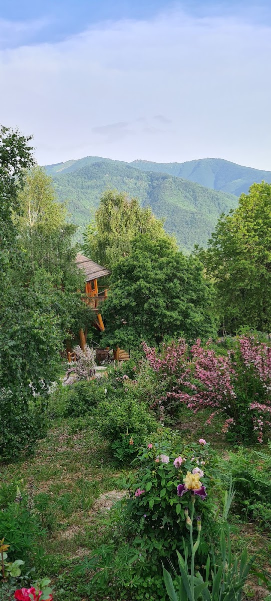 Casette sull'albero - La Quiete