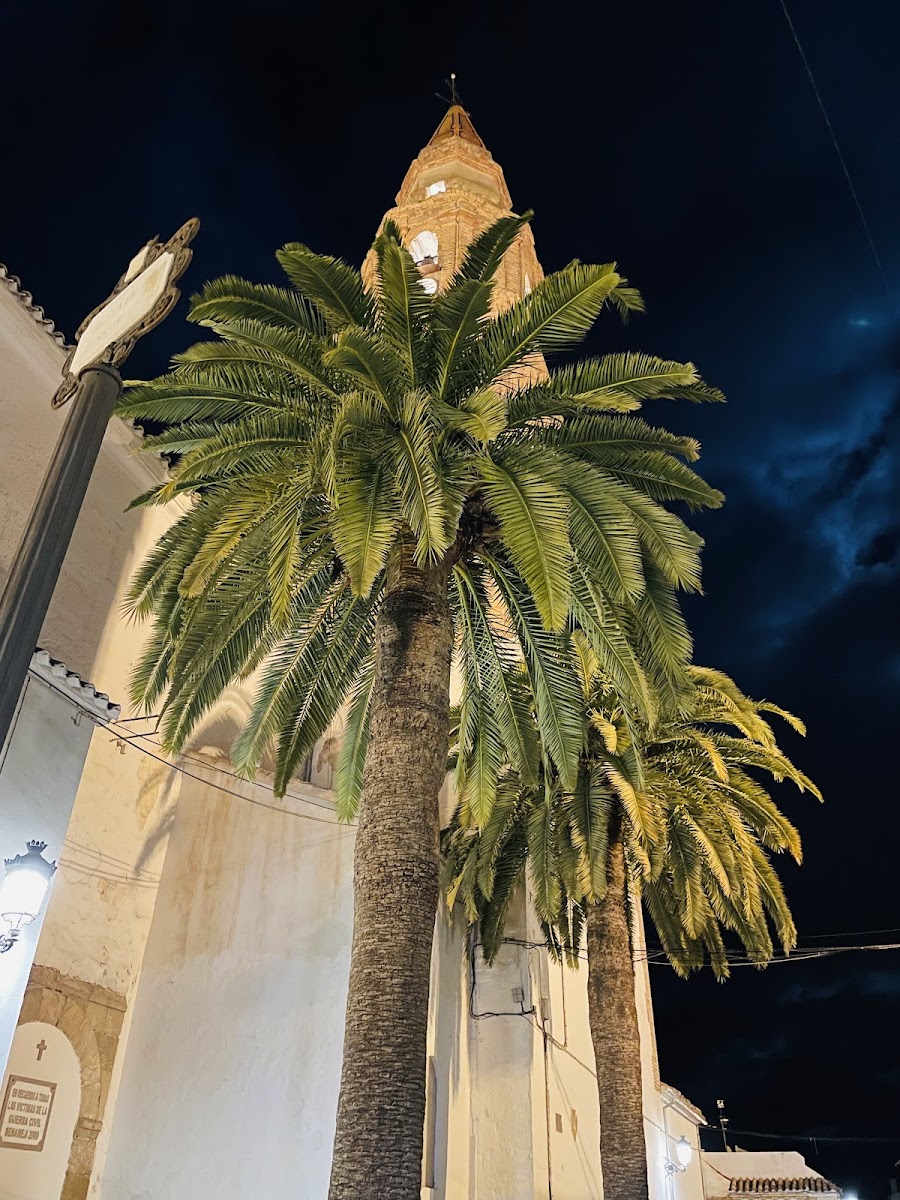 La Posada de Momo