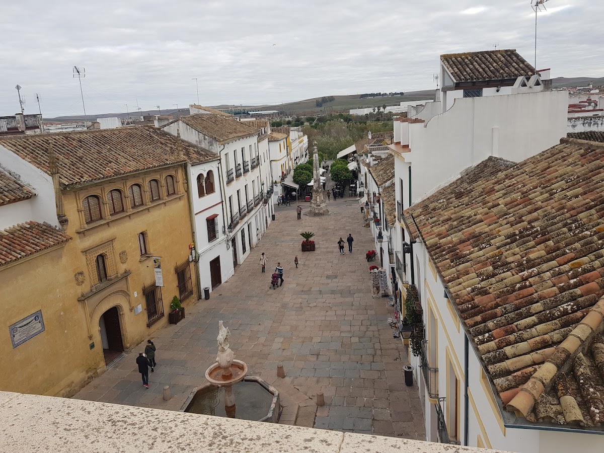 La Posada de Momo