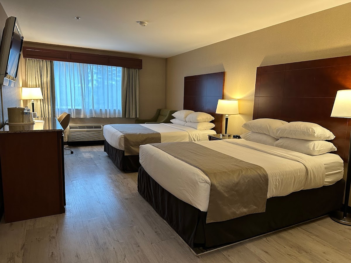 Medallion Inn and Suites