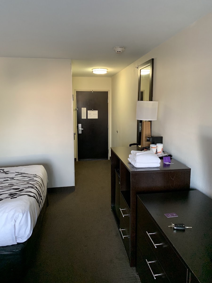 Sleep Inn & Suites And Conference Center Downtown
