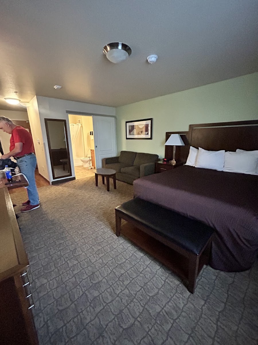 Ledgestone Suites Hotel Elko