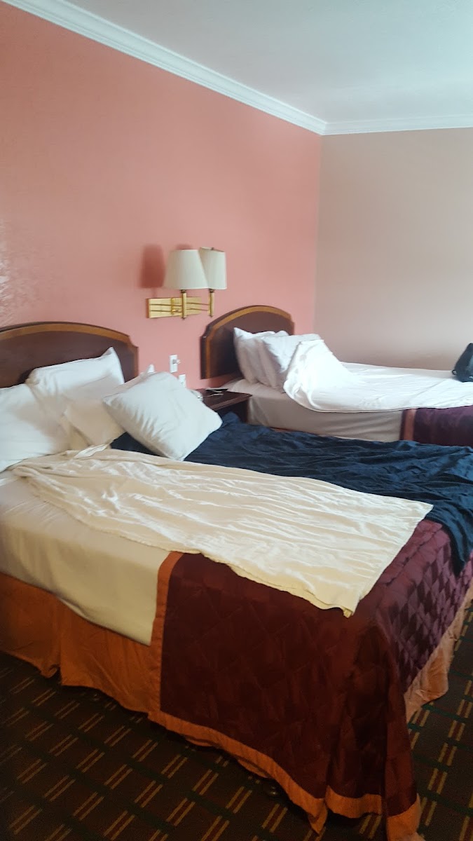 Sealamp Inn
